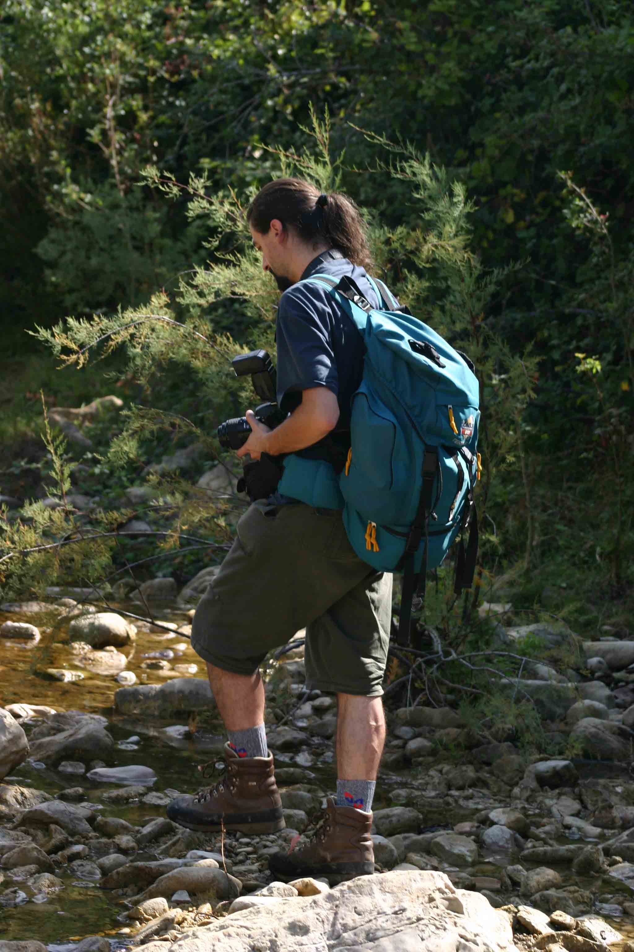 Rio Fiume (Tolfa) 2, la vendetta